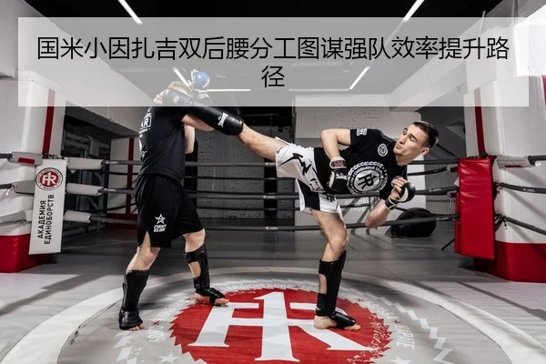 国米小因扎吉双后腰分工图谋强队效率提升路径